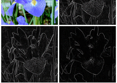 Detector de Bordas Gradiente em Imagens RGB Imagem RGB Gradiente calculado no espaço