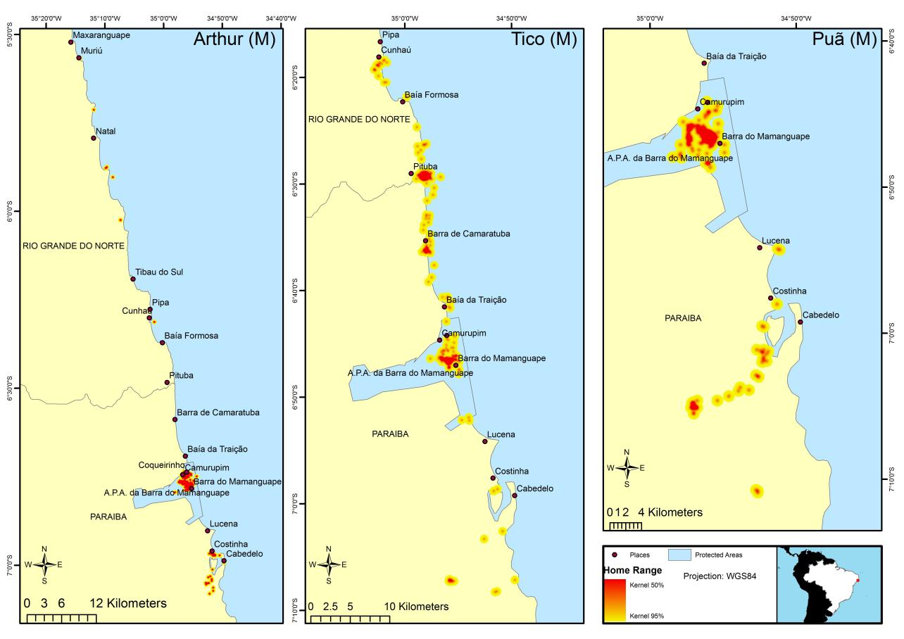 72 Figure 11 - Home range and centres of activity of released long-distance travellers manatees released in Paraíba site. Gender represented as (M) for males. Fonte: Normande, I.C.