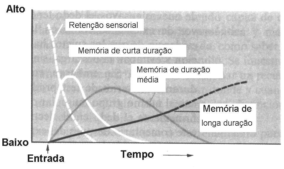 Tipos de memória Memória implícita: memória para competências perceptivas e motoras, expressa através da proficiência, sem evocação consciente dos episódios passados.