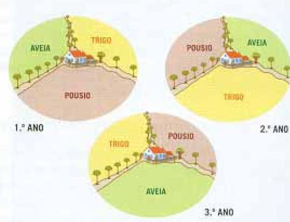 Os Progressos