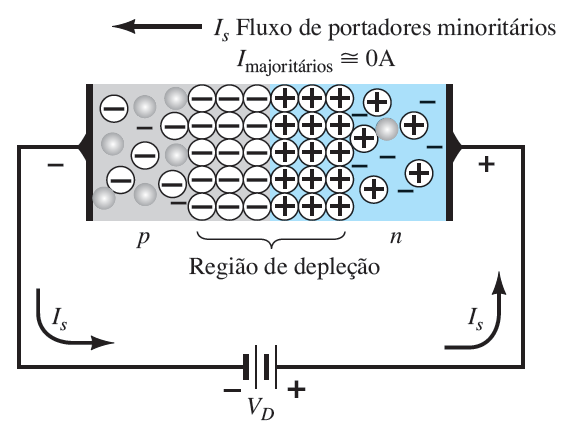 Condições de operação do diodo Polarização reversa o A tensão reversa faz com que a área da região de depleção aumente.