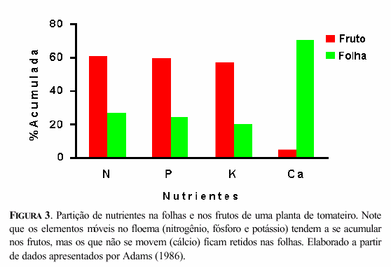 5 A partição de assimilados é feita no sentido da fonte para o dreno A partição de nutrientes feita através do floema segue um critério relativamente simples: ela é feita sempre no sentido da fonte