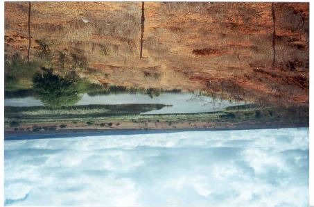 Foto 5. Sangradouro da Barragem de Ouro Branco (Ourolândia) na busca de uma solução (ação da comunidade) Figura 6.