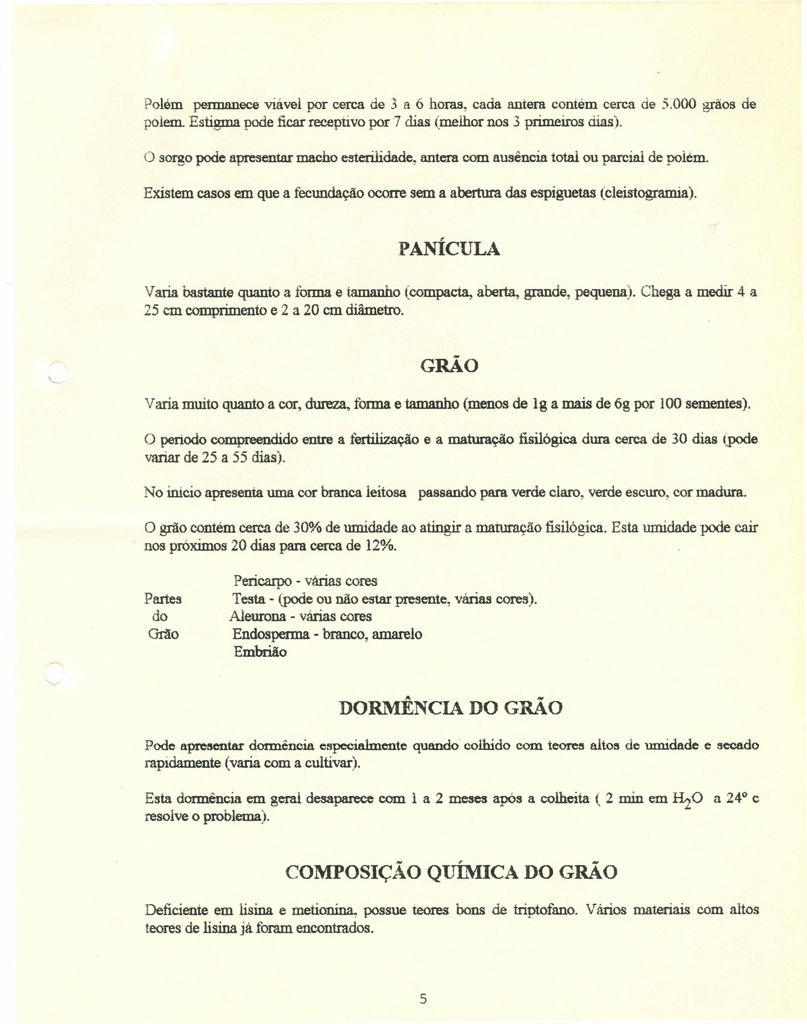 Polém permanece viável por cerca de 3 a 6 horas, cada antera contém cerca de 5.000 grãos de pelem. Estigma pode ficar receptivo por 7 dias (melhor nos 3 primeiros dias).