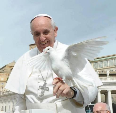 Francisco anuncia a Mensagem para o 49º Dia Mundial da Paz Vence a indiferença e conquista a paz. Este é o título da Mensagem para o 49º Dia Mundial da Paz, a terceira do Papa Francisco.