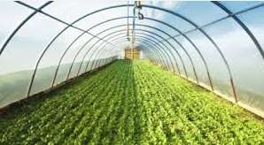 10.2.1.1 - Pequenos investimentos nas explorações agrícolas Objetivos: promover a melhoria das condições de vida, de