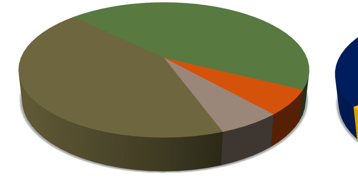 ENTREGAS POR SEGMENTO E POR CULTURA -2013 FERTILIZANTES ENTREGUES POR SEGMENTO FERTILIZANTES ENTREGUES POR CULTURA Produtor PJ Produtor 45% Pessoa Jurídica 45% Produtor Cooperativas