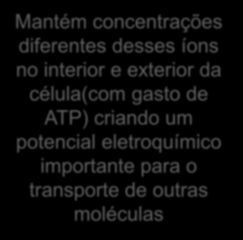 Mantém concentrações diferentes desses íons no interior e exterior da célula(com gasto