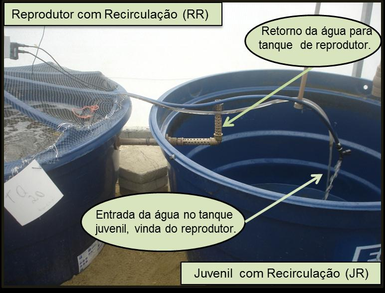 16 Figura 3: Tanques sem recirculação de água. (Foto: Douglas Severino). RR e JR realizavam a troca de água concomitantemente a cada 1 hora e 20 minutos (Figura 4).