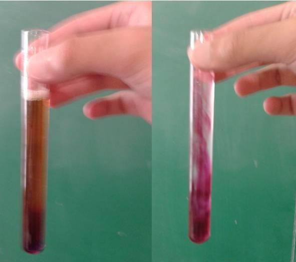 A B Figura 1: Reações com o permanganato de potássio com a água oxigenada e o vinagre (A) e apenas com a água oxigenada (B).