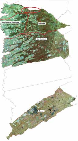 Quadro 5 Monitoramento agrometeorológico: análise do período de setembro de 2015 a agosto de 2016, com possíveis impactos de acordo com as fases* do café na Bahia Fases* Bahia Ano 2015 2016 Meses Set