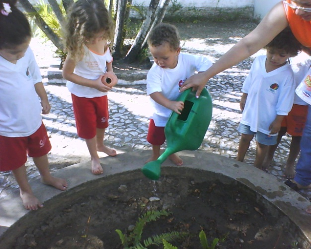A partir daí, todos os dias as crianças iam até o patio colocar água na