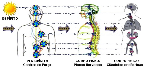 EPÍFISE "Epi" é um prefixo da língua grega, significa acima, de forma superior, de ordem superior. "Fise" originase da palavra grega "Phisis", denotando natureza.