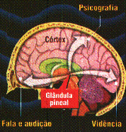 Para que o espírito comunicante possa atuar no organismo do sem a interferência do médium é necessário que se promova um bloqueio no sistema nervoso ativador das funções cerebrais, se isto não for