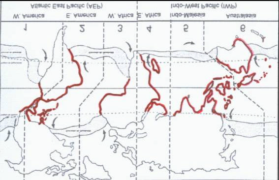 Figura 1 Distribuição geográfica dos manguezais nas costa dos continentes marcadas em linhas vermelhas (HOGARTH, 1999).