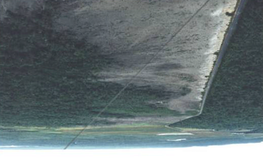 Área degradada Figura 6 Foto aérea de parte da degradação do manguezal de Brangança-PA (Fonte: Folha do Mangue, 2002, Projeto MADAM).