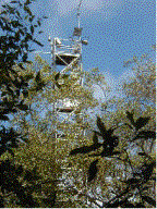 Torre micrometeorológica Foi montada uma torre micrometeorológica metálica de 25 m de altura (Figura 10), subdividida em plataformas onde