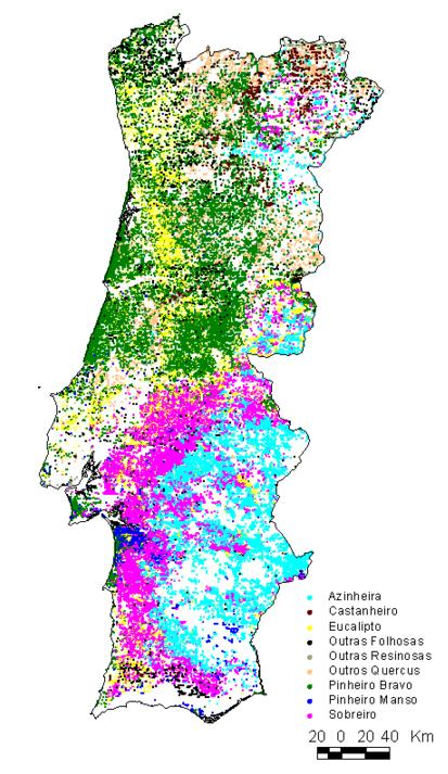 A base da cadeia de fornecimento da Tec Pellets é da região Centro e Norte de Portugal, mais especificamente as regiões de Estremadura, Ribatejo, Beira Litoral, Douro Litoral, Minho e Trás-os-Montes