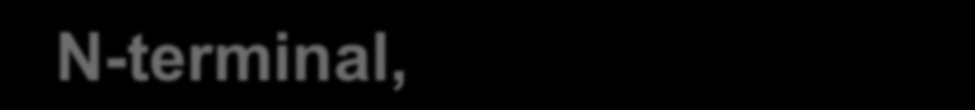 ativo α-peptide à interface entre as duas sub.