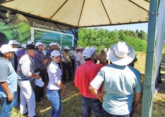 A meta é levar informações atualizadas ao campo e mostrar aos produtores que é possível controlar a população do inseto, com o mínimo de desperdício de inseticidas, reduzindo custos de produção e