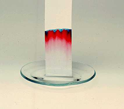 Cromatografia em papel Compostos hidrossolúveis, ácidos orgânicos e ions metálicos Princípio: partição (solubilidade) Quantidade de amostra necessária 10-3 a 10-6 g Tipos: ascendente, descendente,