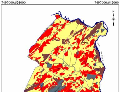 Resolução de 25 metros. Figura 3. Dermatobiose em bovinos no verão.