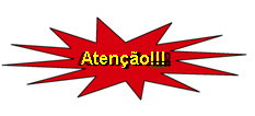 porque a importação destruía a indústria nacional. Assim, se eventualmente a Suécia entrasse em guerra, seu exército poderia não ter suprimentos de botina. (Revista Veja 24-03-1999 apud Maia, p.221).