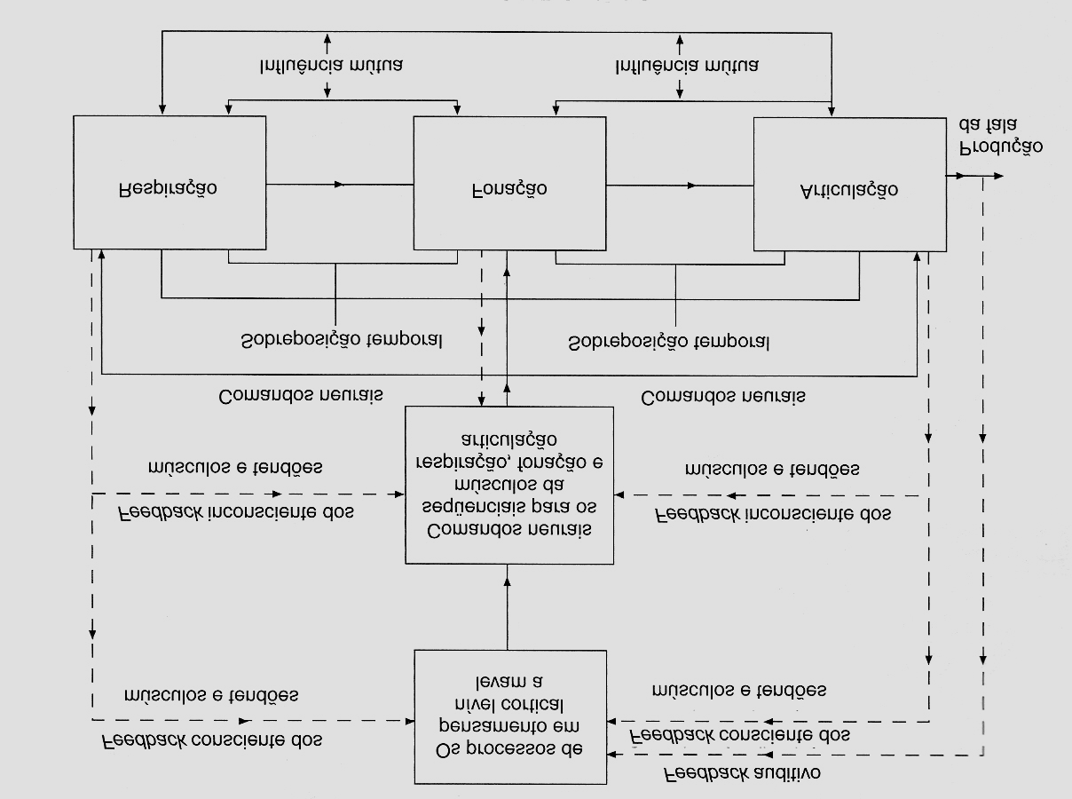 FIGURA 1.18 Modelo de produção da fala Fonte: ZEMLIN, 2000, p. 48 1.7 Os sentidos, a propriocepção e a consciência cinestésica Nesse tópico abordaremos o controle e a regulagem do fenômeno vocal.