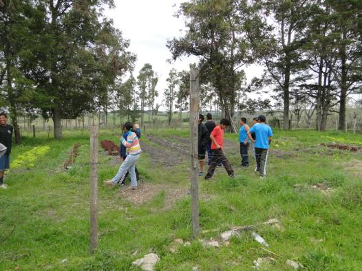 causa a saúde das pessoas e o porque da importância de produzir agroecológicamente.