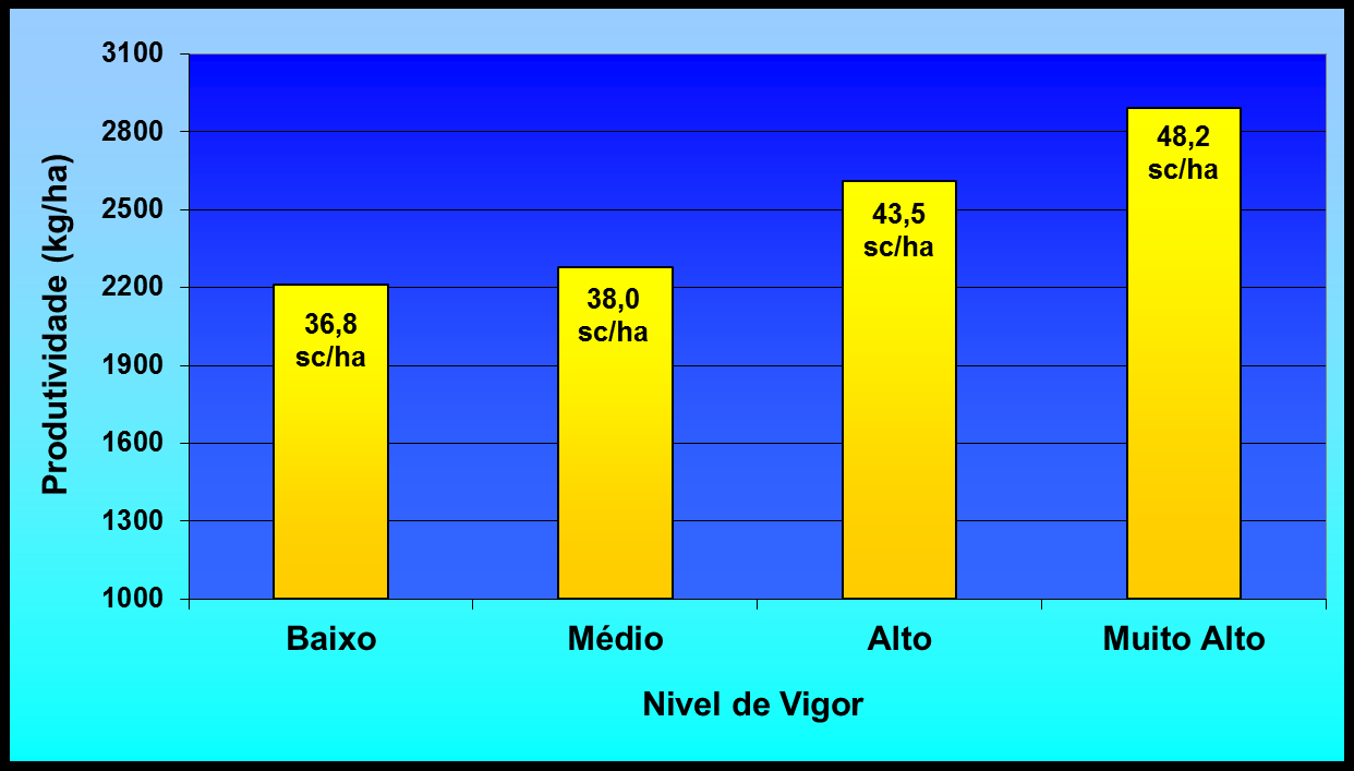 Produtividade X Vigor Semente de Alta Qualidade: até 31% a