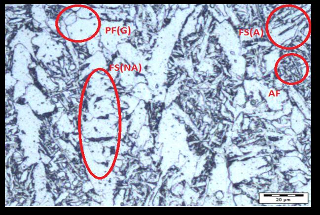 Fig. 5a) Micrografia do CP1. Fig.
