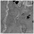 adequado para o registro de imagens.o kernel (h) tem qualidade adequada para o processamento, cobre uma região urbana e com relevo pouco acidentado.