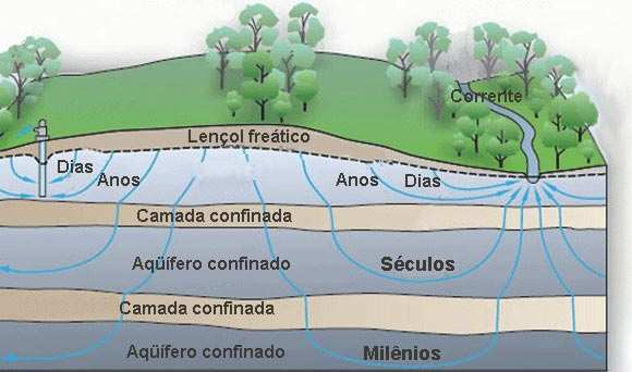 Outra parte da água precipitada descerá até as camadas mais profundas do solo.