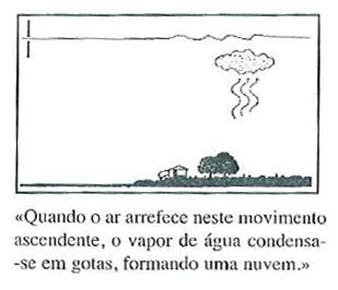 (capacidades gráficas dos computadores). No entanto o facto de aplicáramos imagens às palavras não garante uma melhoria da aprendizagem.