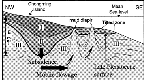 (diápiros de lama formam-se devido a ascendências localizadas da camada comprimida). Fonte: http://www.cpgg.ufba.br/~glessa/geomar2/sealevel/isostasia.