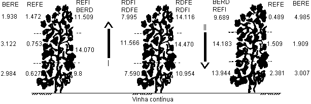Para as vinhas contínuas a quantidade de cobre depositada nas diferentes zonas das plantas foi a seguinte: Quadro 3- Quantidade média de cobre, em µg.