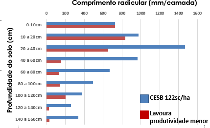 9 Os resultados demonstraram uma correlação da produtividade com o enraizamento e que se deve principalmente pela sua atuação no acesso a