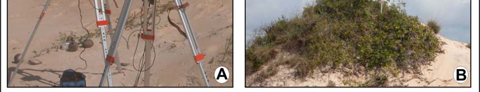 uma determinada área. Higgitt & Warburton (1999) realizaram um estudo detalhado em leques aluviais recentes e sedimentos associados, bem como a distribuição espacial de colúvios.