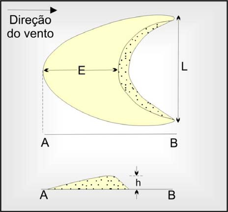 Araújo, V.D Em relação à ocorrência de diferentes tipos morfológicos, as dunas lineares são as mais comuns em desertos, seguidas por dunas transversas.