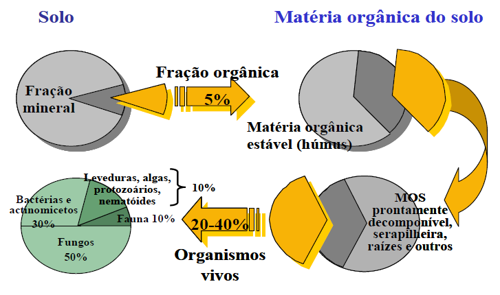 MATÉRIA ORGÂNICA DO SOLO (MOS)