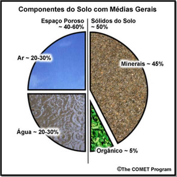 C O M P O S I Ç Ã O D O S O L O REPRESENTANDO APENAS 1-5%, A MATÉRIA ORGÂNICA É UM DOS PRINCIPAIS