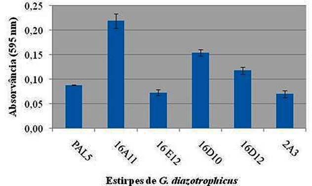 concentrações de Albumina de Soro Bovina (BSA), em meio contendo sais de LGI-P e suplementado com 50 g L -1 de glicose, e em sua utilização como ponto de referência de diferentes concentrações de