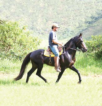 3º Leilão Virtual