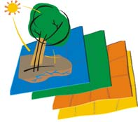 Elementos Químicos em Folhas de Árvores na Mata Atlântica (Projeto Parcelas Permanentes) BM = Bathysa meridionalis, CI = Chrysophyllum inornatum, EC = Eugenia cuprea, EE =