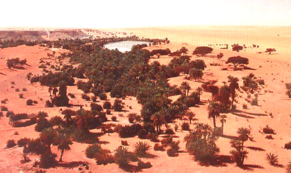 OS OÁSIS Área fértil no deserto, com uma fonte ou