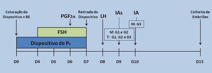 51 50 Figura 1 Desenho esquemático do protocolo de sincronização de estro e superovulação em vacas Bos taurus doadoras de embrião, inseminadas em dois momentos de acordo com o grupo experimental.