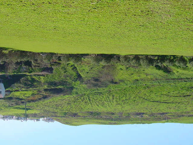 Vazios (Quinta dos Cedros e do Alvito) - Escola Agrícola da Paiã mas tb Serra Amoreira e Caneças. ONDE, COMO NOS RELACIONAMOS COM O AMBIENTE NATURAL?