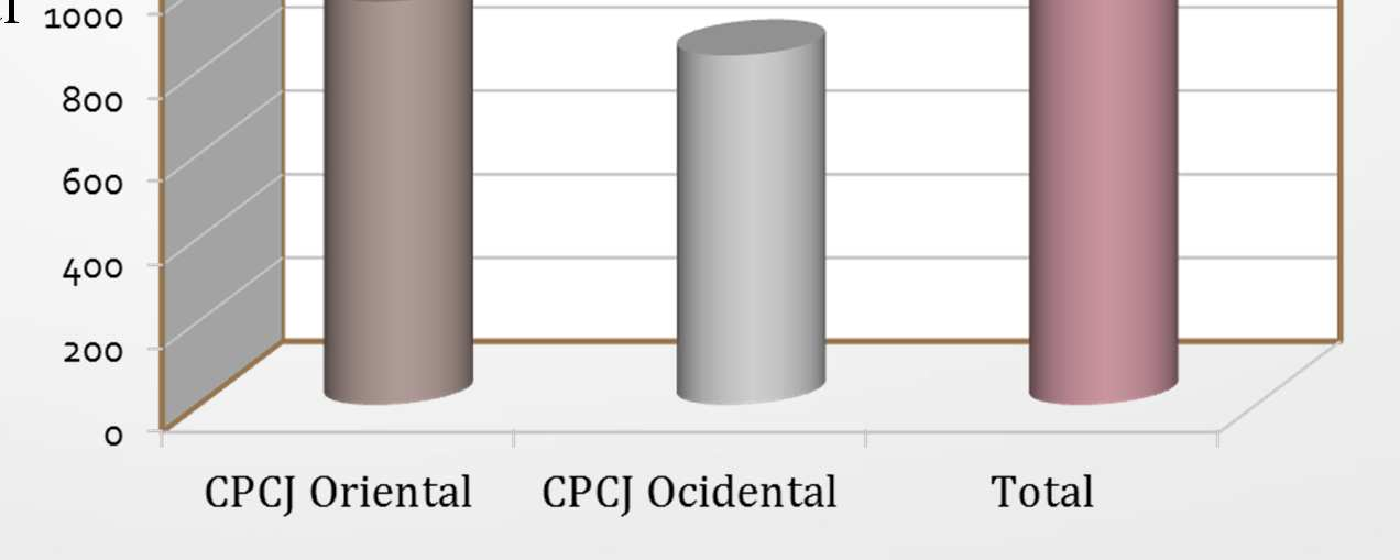 PPP: 966 da CPCJ Sintra