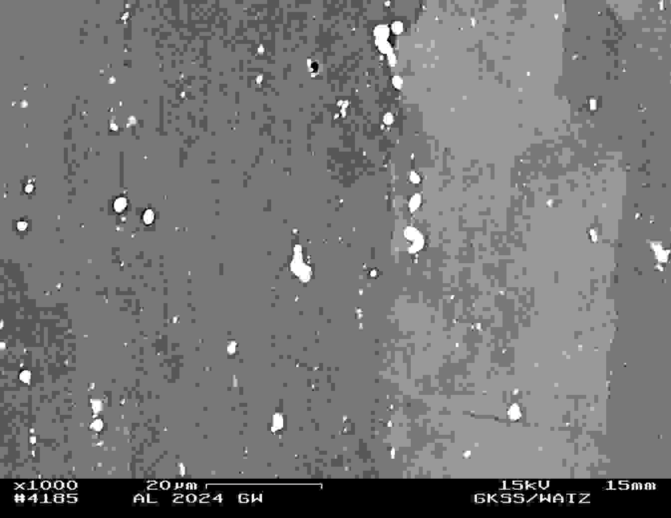 Figura 1: Microscopia eletrônica de varredura-mev, 1000X, imagem obtida com elétrons retro-espalhados.