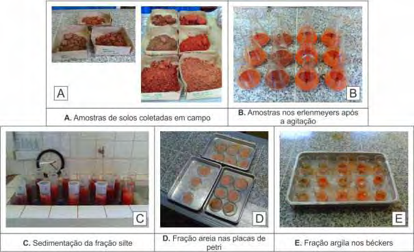 25 campo. Posteriormente, exportou-se para o CorelDRAW X4 para a edição e finalização gráfica.